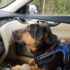 Meet your Posher, Alexandria